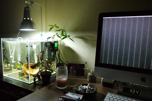 c0225297_23764.jpg