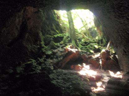 e0077899_8352558.jpg