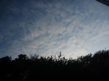 f0085501_159454.jpg