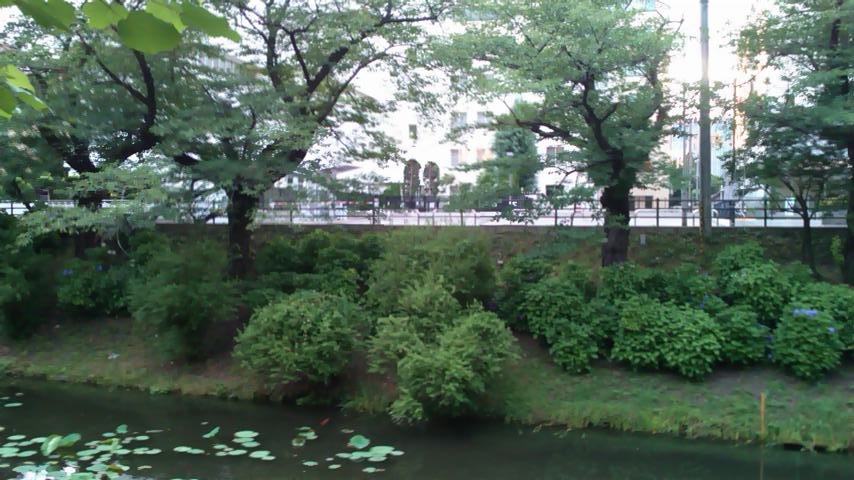 b0169403_19142886.jpg