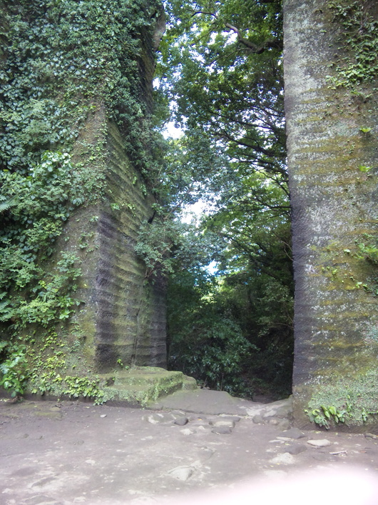 d0149306_8392882.jpg