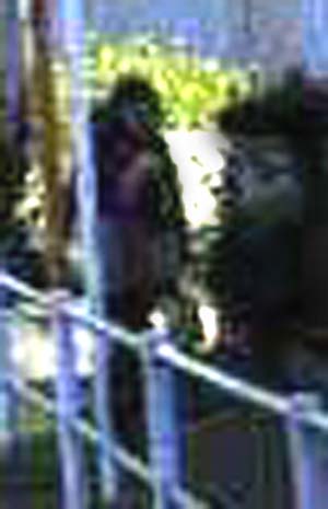 e0103408_11351474.jpg