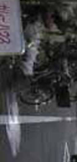 e0103408_113687.jpg