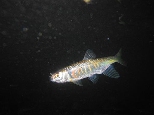 e0123808_021686.jpg