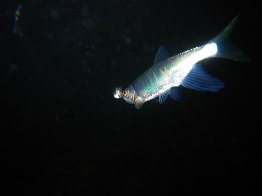 e0123808_0221169.jpg