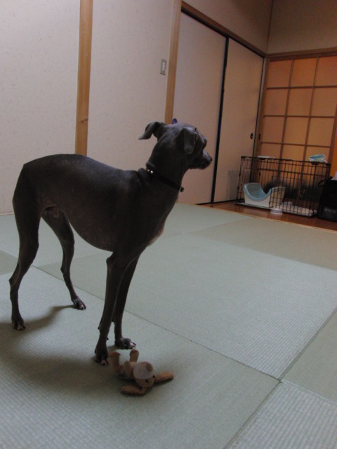 e0141909_0255598.jpg