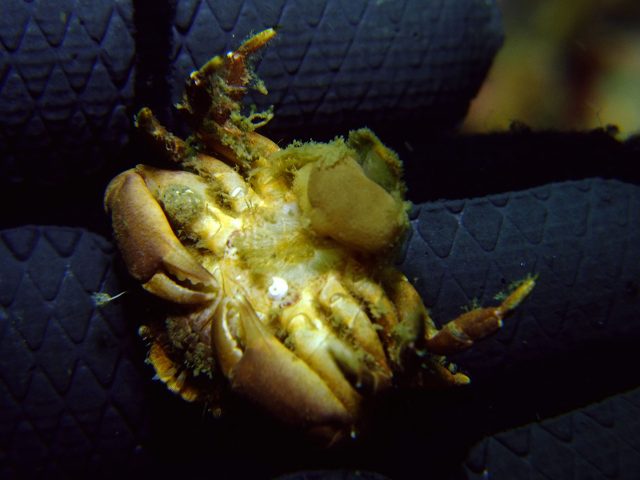 d0175710_23464855.jpg
