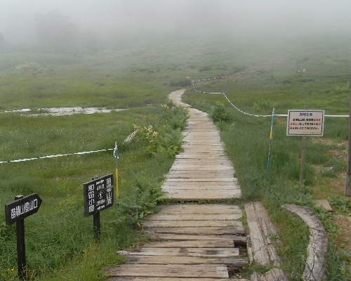 f0006510_21391145.jpg