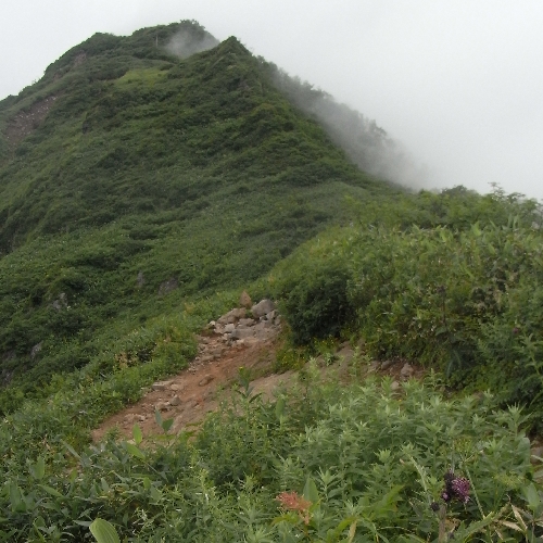 f0006510_22223353.jpg