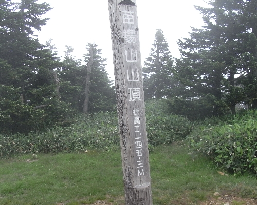 f0006510_2355258.jpg