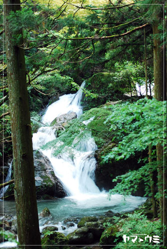e0207511_1926236.jpg
