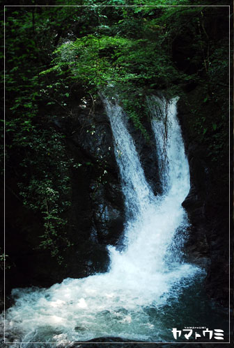e0207511_19275796.jpg
