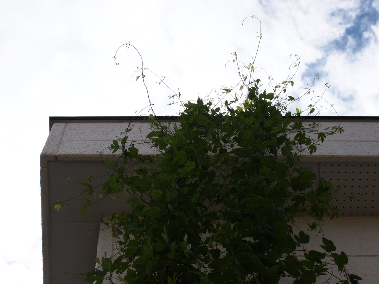 d0169613_1643268.jpg