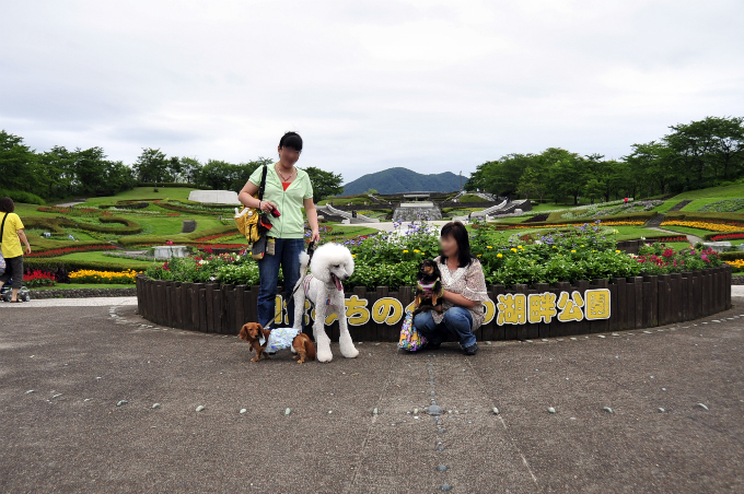 d0179113_12294027.jpg