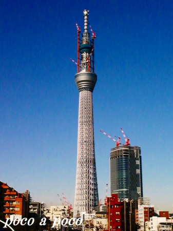 d0111216_23472256.jpg