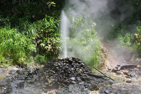 a0030217_917870.jpg