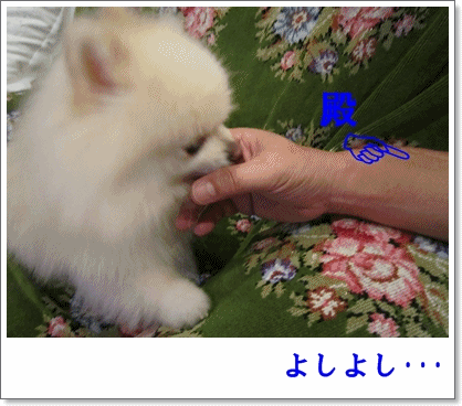 b0167519_2153699.gif