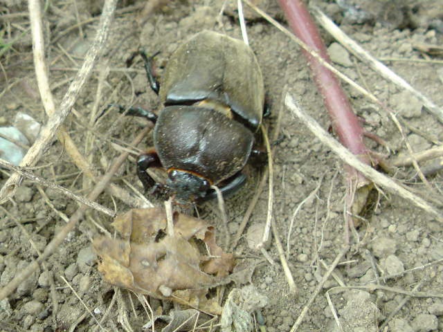 c0213619_17435938.jpg