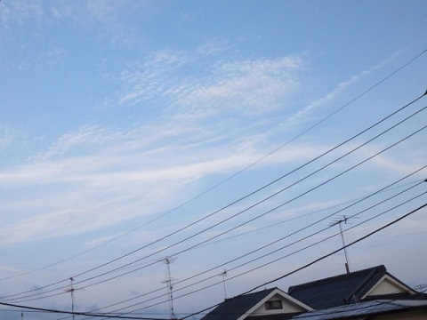 b0199924_1912365.jpg