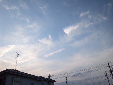 b0199924_1913515.jpg
