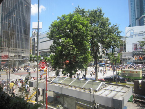 d0162225_16263523.jpg