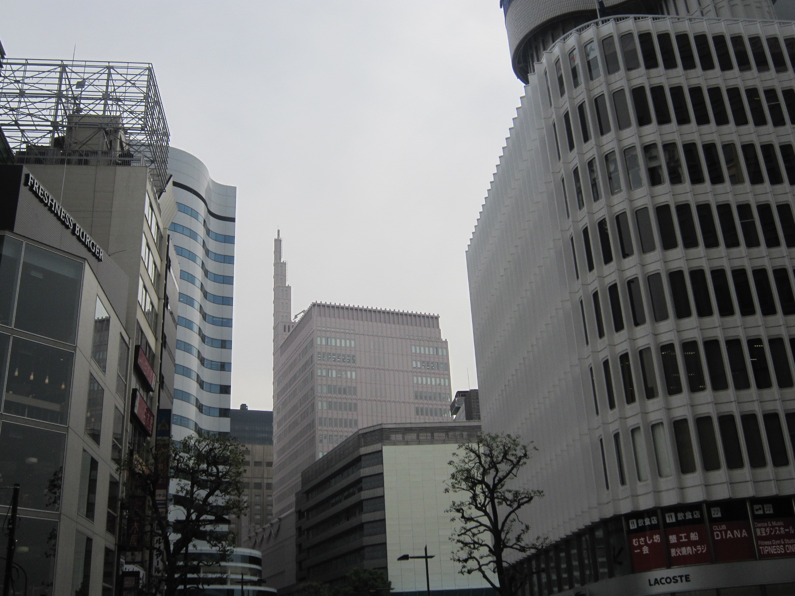 d0162225_1646751.jpg