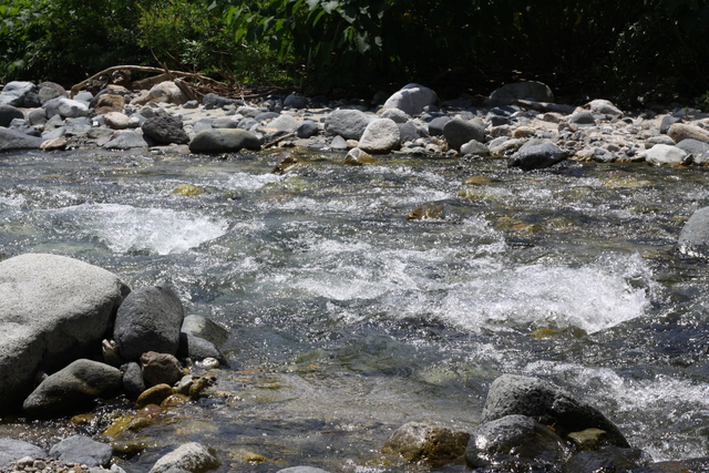 e0071225_0453633.jpg