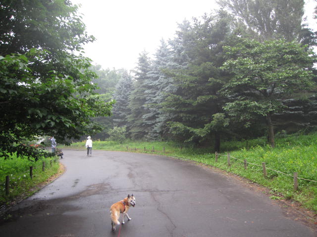 e0191826_0293887.jpg