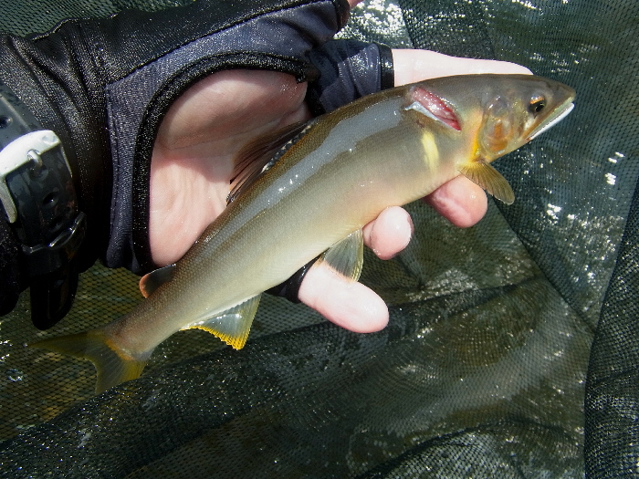 f0103126_20141191.jpg