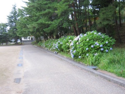 b0181027_7292249.jpg