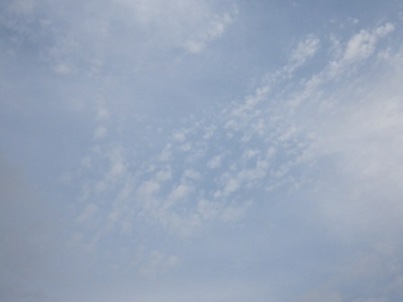 b0181027_7295635.jpg