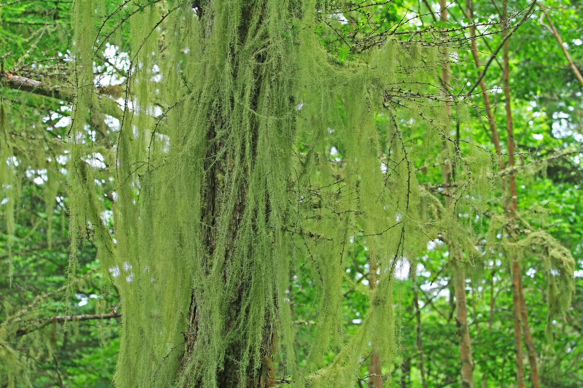 c0104227_1737193.jpg