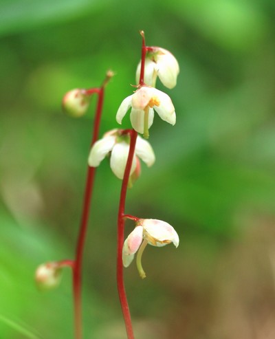 c0104227_21103964.jpg