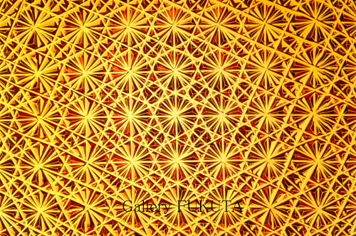 c0161127_1043925.jpg