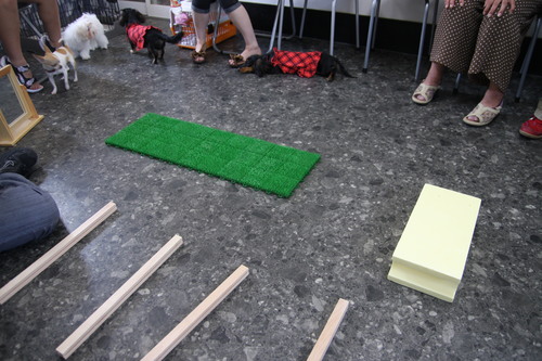 d0158028_8523310.jpg