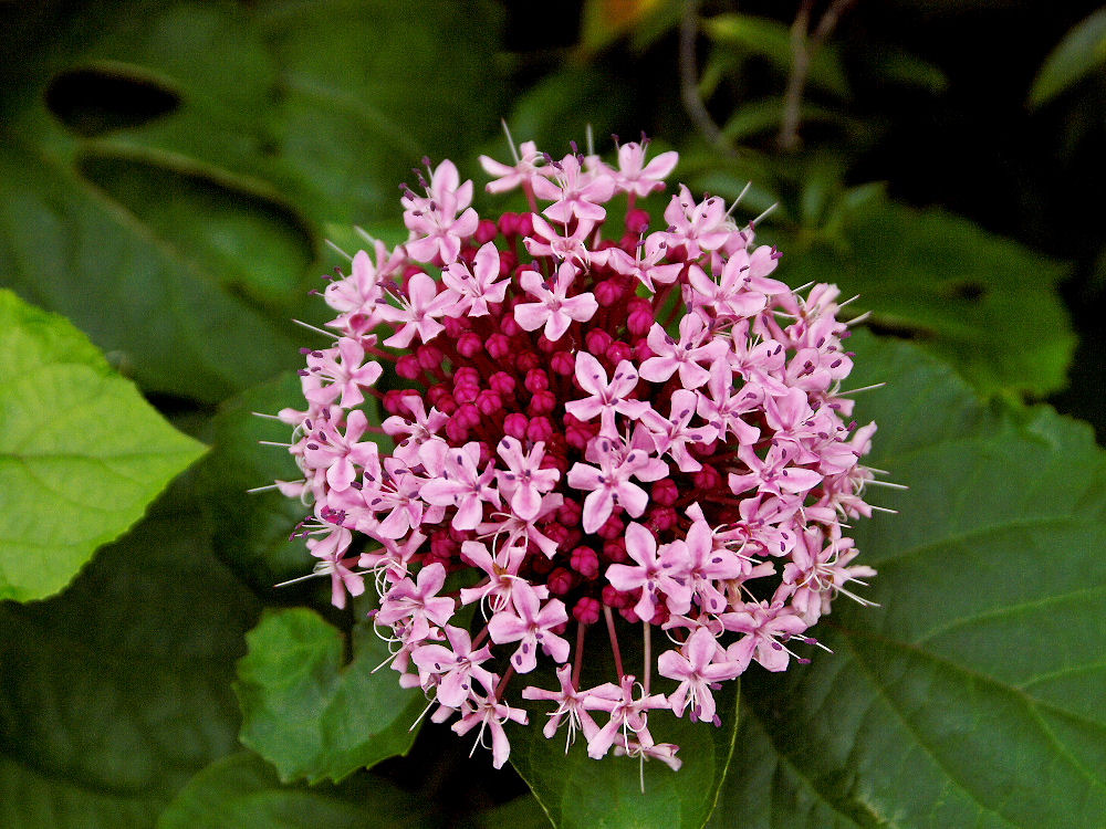 d0213034_1027457.jpg