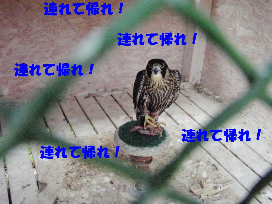 d0077740_2245991.jpg