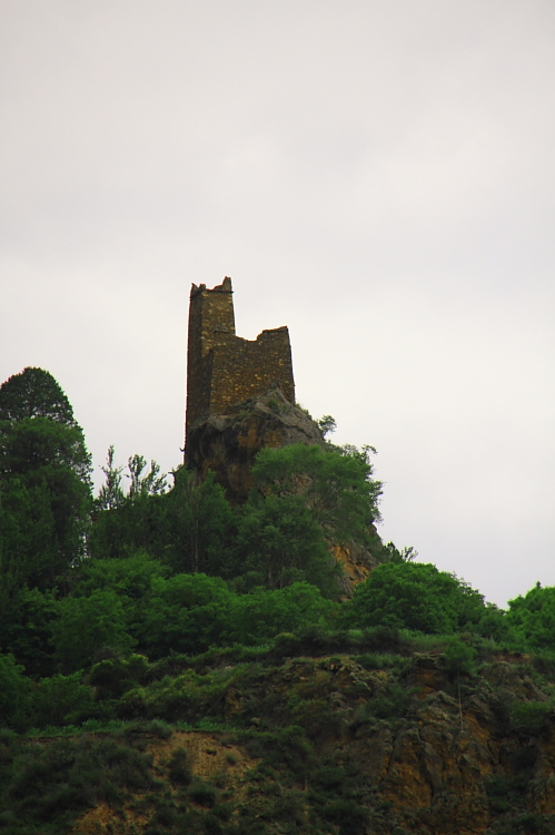 d0247340_1021986.jpg