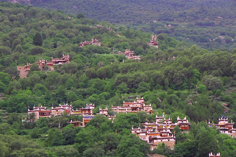 d0247340_10223784.jpg