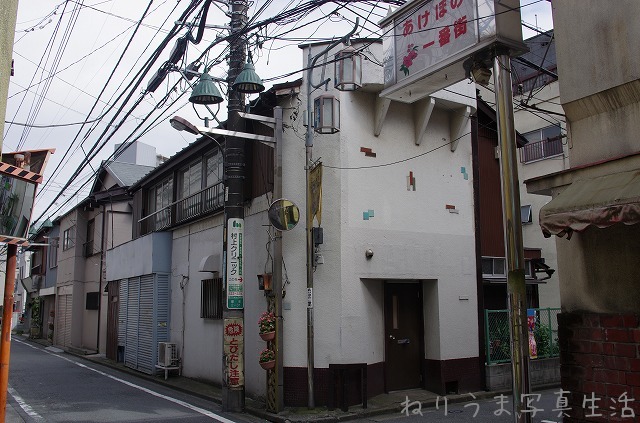 a0009142_19264382.jpg