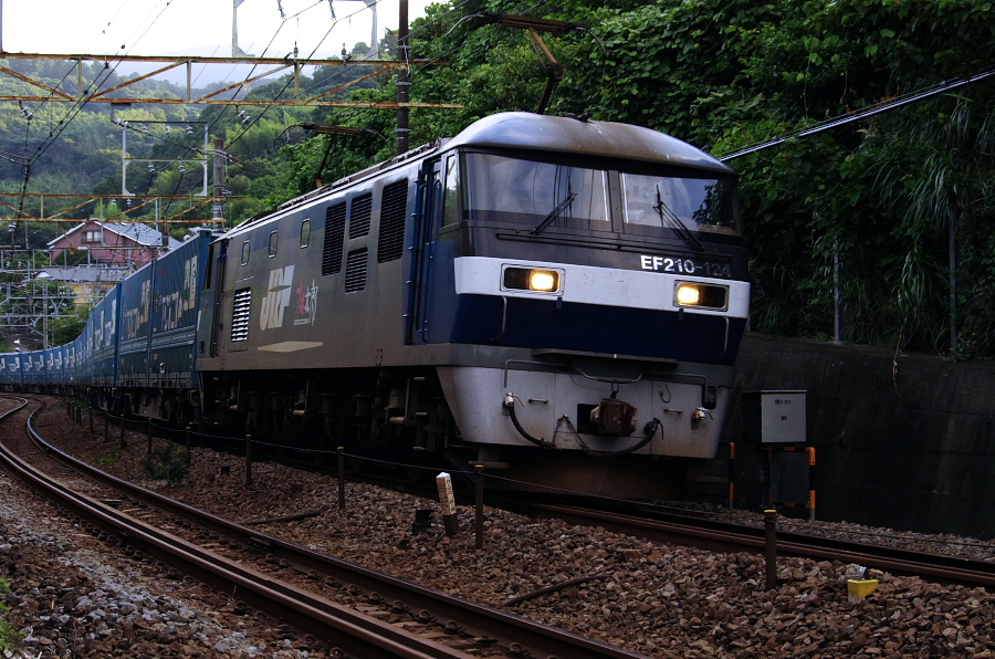 d0159548_2021867.jpg