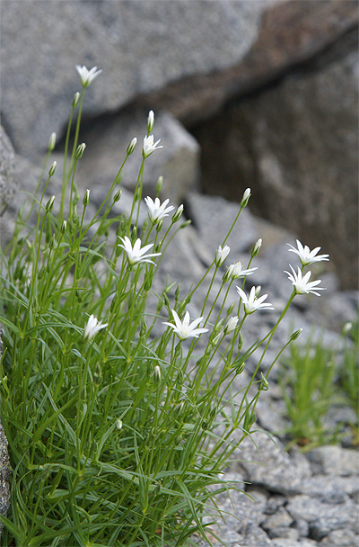 f0214649_7234549.jpg