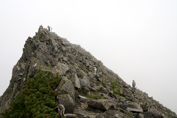 f0214649_7393111.jpg