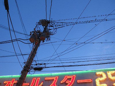 d0031853_419276.jpg