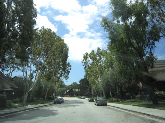 b0173754_024554.jpg