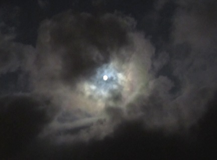 b0173754_050732.jpg
