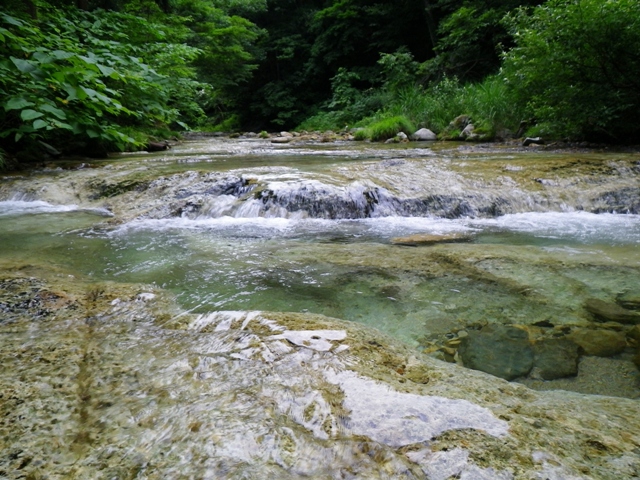 b0177355_22201030.jpg