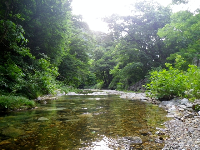 b0177355_22204100.jpg