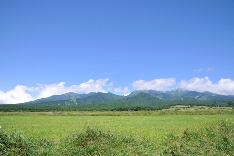e0131355_16593093.jpg