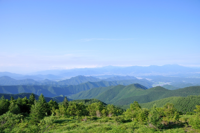 e0131355_17233095.jpg